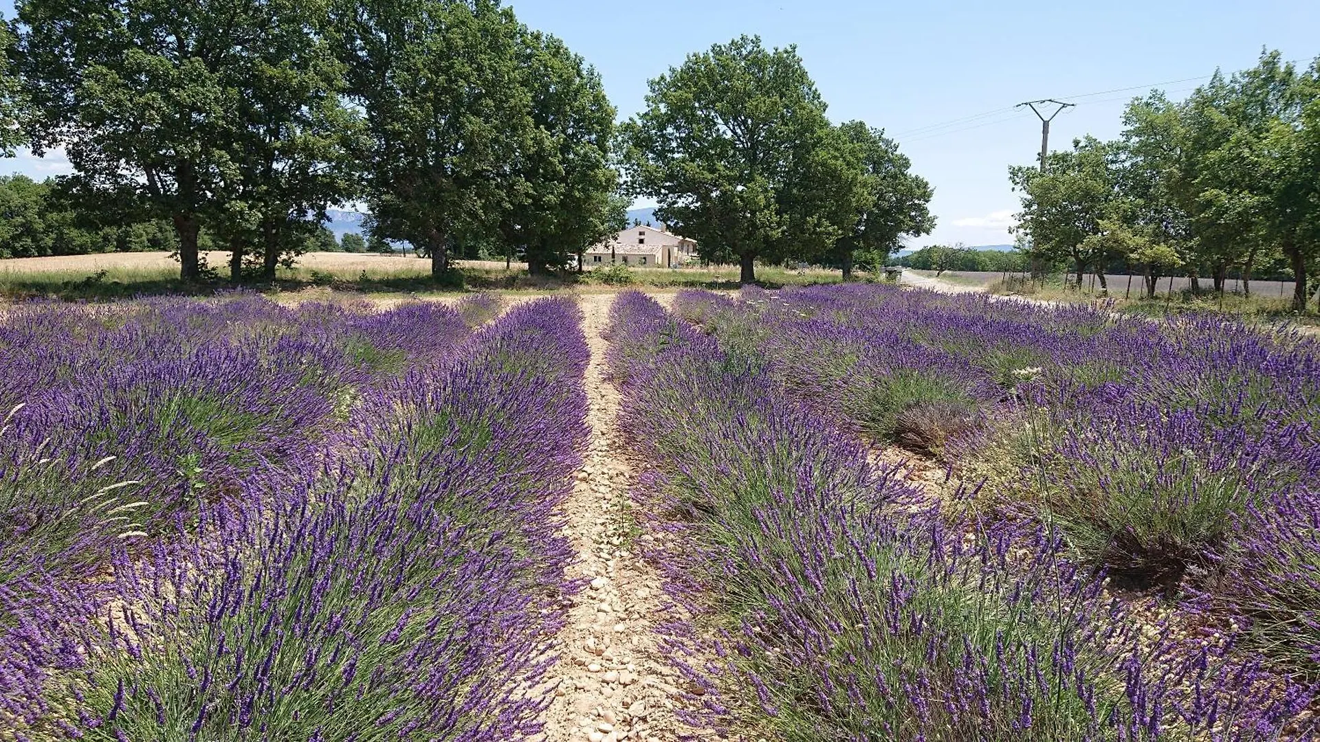 Gite Amandier, Ferme Bel Air, Riez Γαλλία